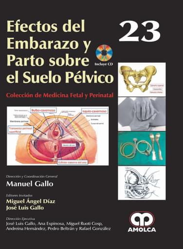 Efectos del Embarazo y Parto sobre el Suelo Pélvico 23