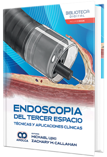 Endoscopia del tercer espacio. Técnicas y aplicaciones clínicas