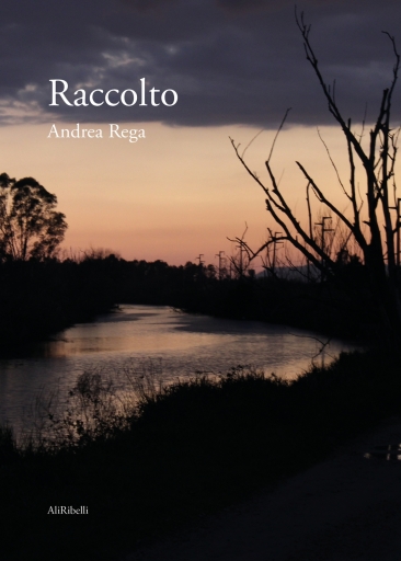 Portada del libro «Raccolto», de Andrea Rega