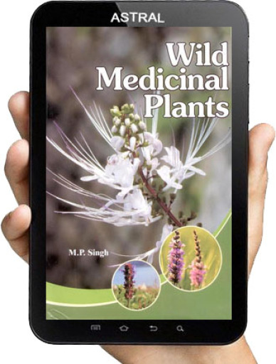 Wild Medicinal Plants