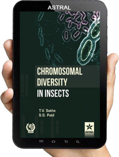 Chromosomal Diversity in Insect