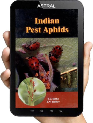 Indian Pest Aphids