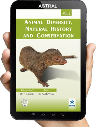 Animal Diversity: Natural History and Conservation Vol. 3