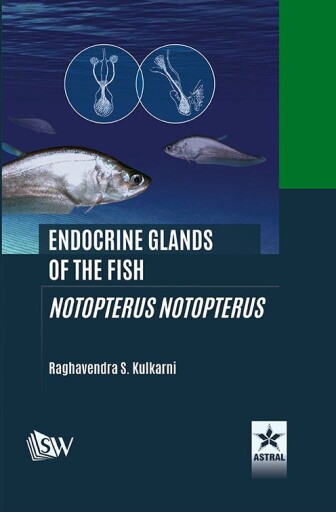 Endocrine Glands of the Fish: Notopterus notopterus