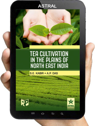 Tea Cultivation in the Plains of North East India