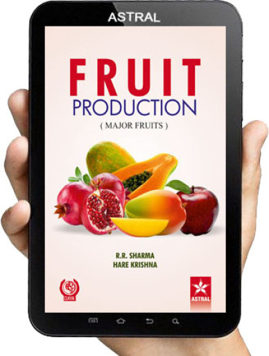 Fruit Production: Major Fruits