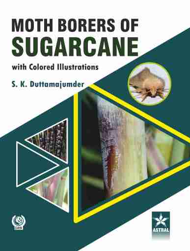 Moth Borers of Sugarcane with Colored IIIustrations