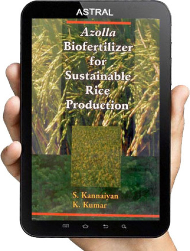 Azolla Biofertilizer for Sustainable Rice Production