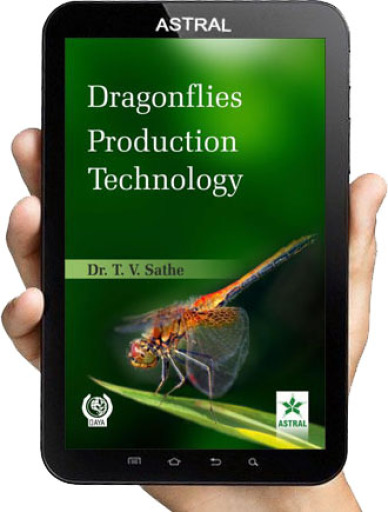 Dragonflies Production Technology