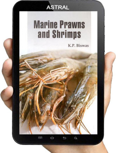 Marine Prawns and Shrimps