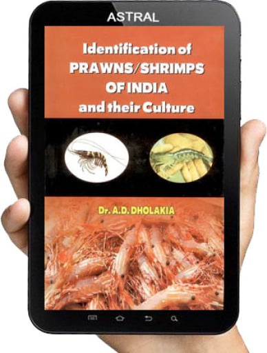 Identification of Prawns/Shrimps and their Culture