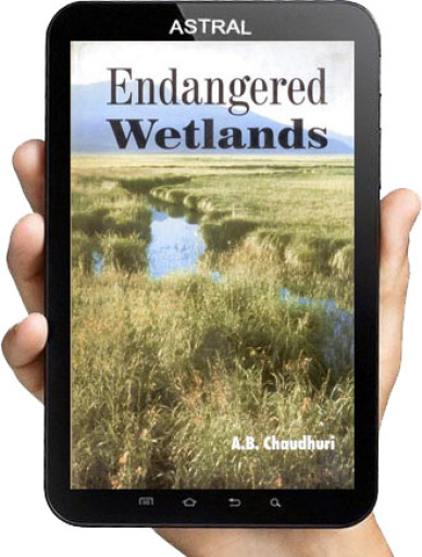 Endangered Wetlands