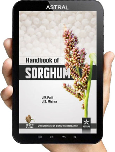Handbook of Sorghum