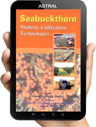 Seabuckthorn: Modern Cultivation Technologies