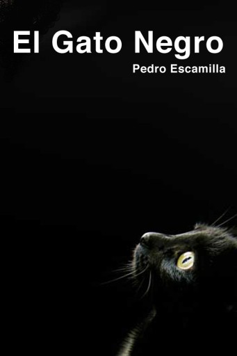 El gato negro