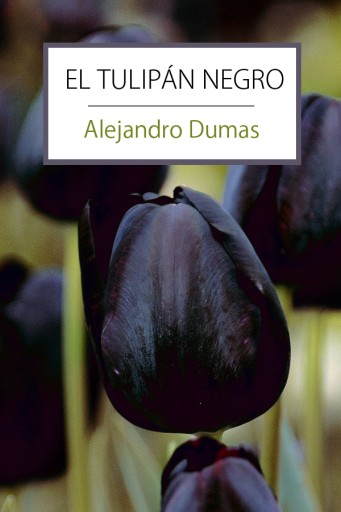 El tulipán negro