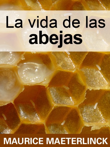 La vida de las abejas