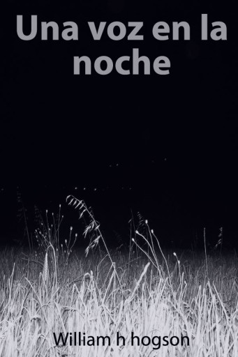 Una voz en la noche