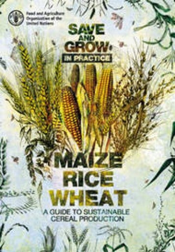 Save and Grow in Practice: Maize, Rice, Wheat