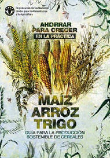 Ahorrar para crecer en la práctica: maíz, arroz, trigo