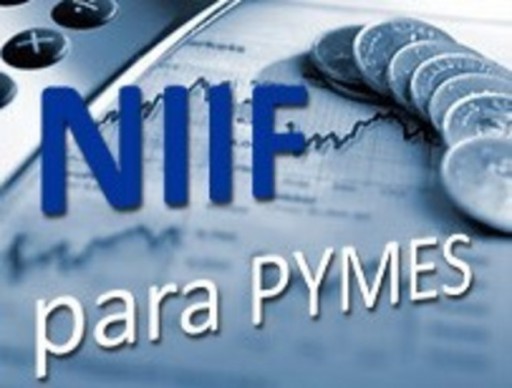 Normas Internacionales de Información Financiera (NIIF) para Pequeñas y Medianas Entidades