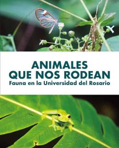Animales que nos rodean: Fauna en la Universidad del Rosario