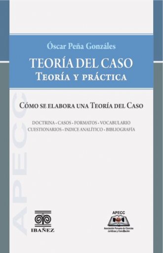 TEORÍA DEL CASO