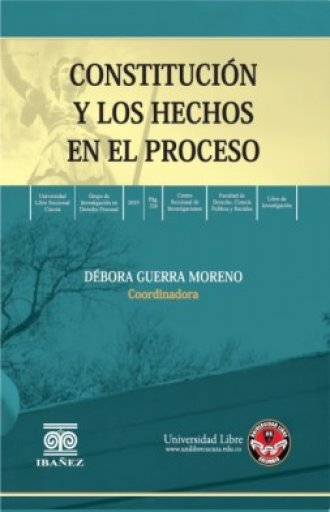 CONSTITUCIÓN Y LOS HECHOS EN EL PROCESO