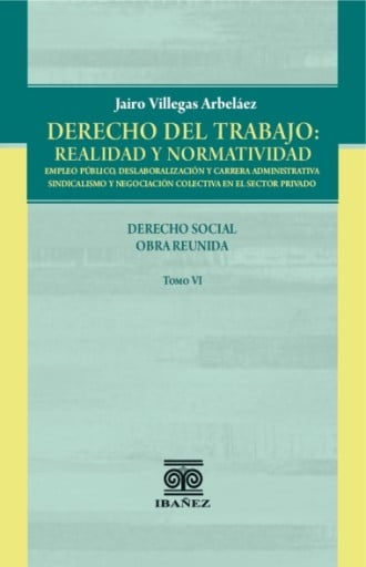 DERECHO DEL TRABAJO: REALIDAD Y NORMATIVIDAD Tomo VI