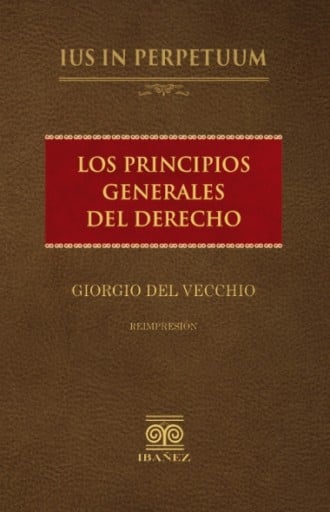 LOS PRINCIPIOS GENERALES DEL DERECHO