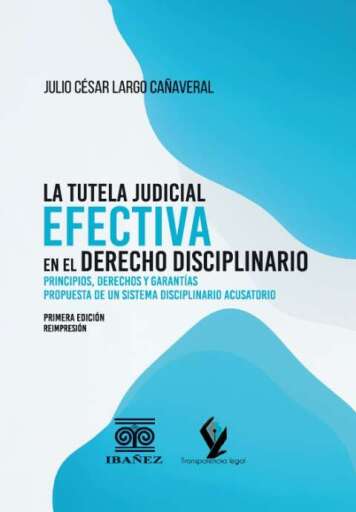 LA TUTELA JUDICIAL EFECTIVA EN EL DERECHO DISCIPLINARIO