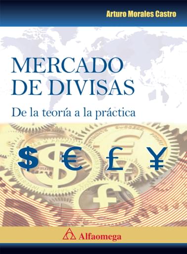 Mercado de divisas de la teoría a la práctica