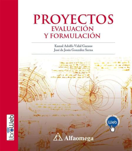 Proyectos evaluación y formulación