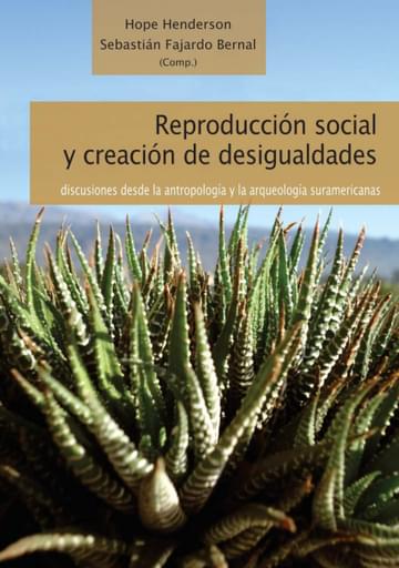 Reproducción social y creación de desigualdades. Discusiones desde la arqueología y la antropología sudamericanas