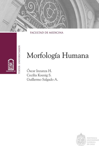 Morfología Humana