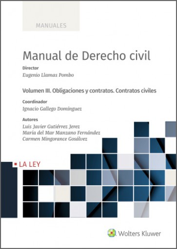 Portada del libro «Manual de Derecho Civil», de Llamas Pombo