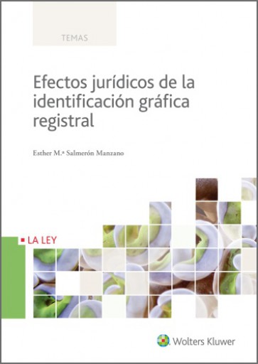 Efectos jurídicos de la identificación gráfica registral
