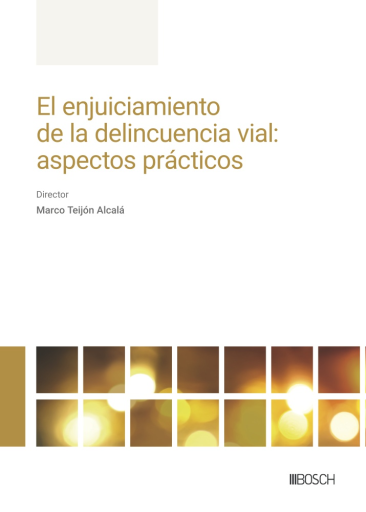 El enjuiciamiento de la delincuencia vial