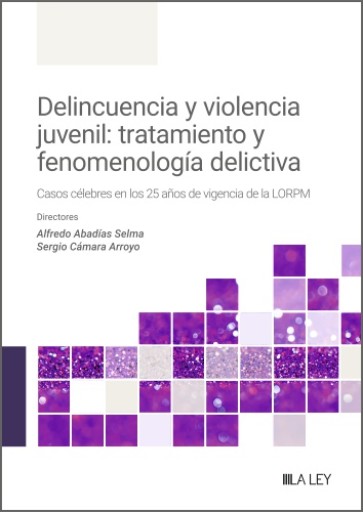 Delincuencia y violencia juvenil: tratamiento y fenomenología delictiva