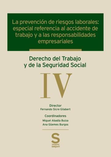 La prevención de riesgos laborales: especial referencia al accidente de trabajo - Derecho del Trabajo y de la Seguridad Social Tomo IV