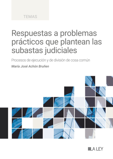 Respuestas a problemas prácticos que plantean las subastas judiciales