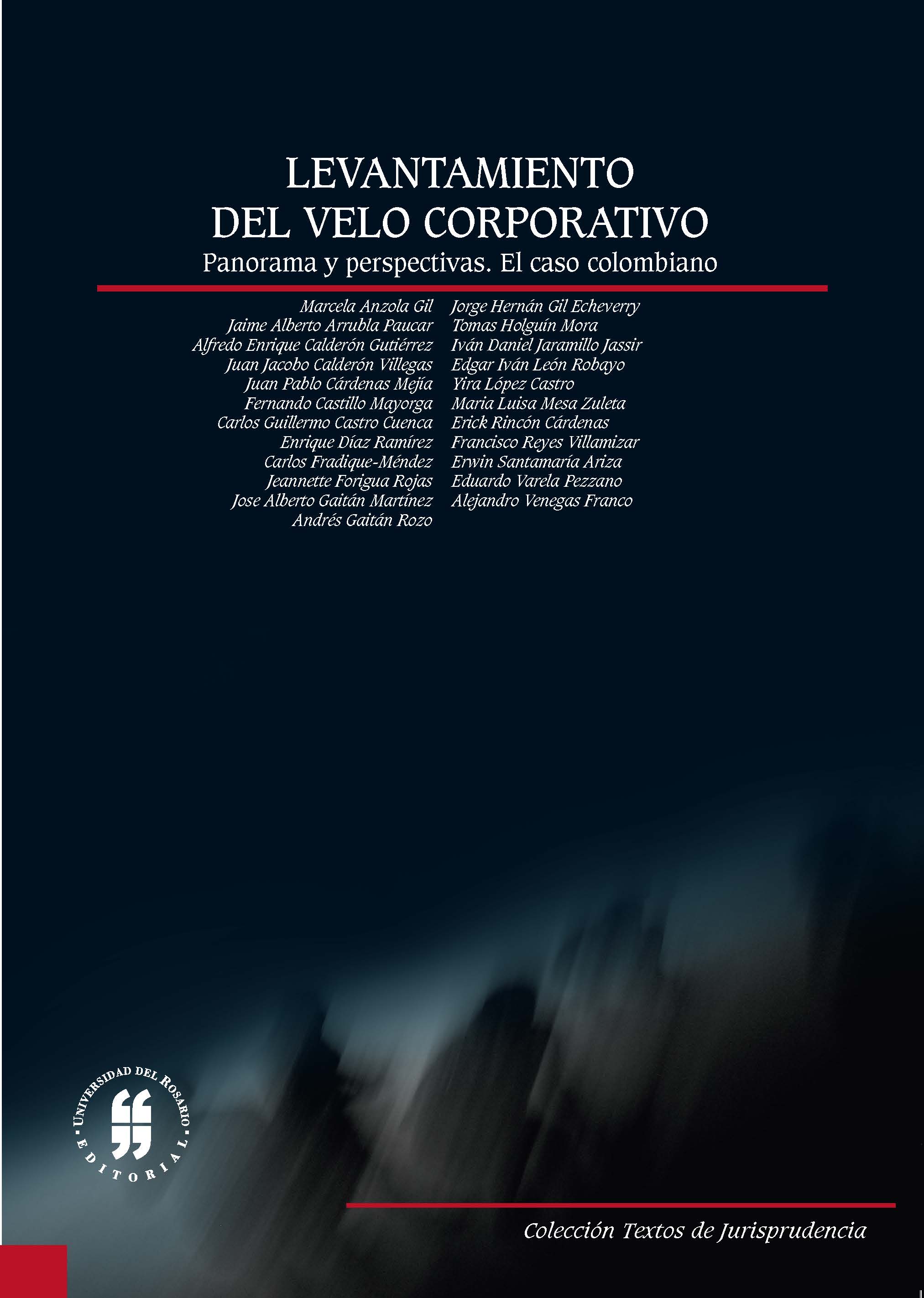 Levantamiento del velo corporativo. Panorama y perspectiva. El caso colombiano.