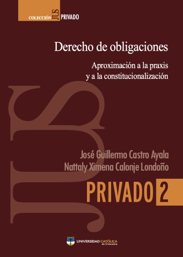 Derecho de obligaciones. Aproximación a la praxis y a la constitucionalización