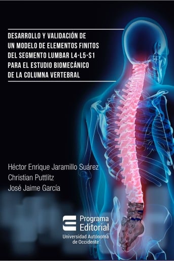 Desarrollo y validación de un modelo de elementos finitos del segmento lumbar l4-l5-s1 para estudio biomecánico de la columna vertebral.