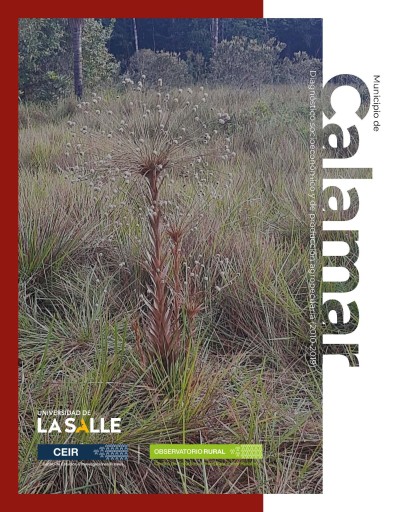 Municipio de Calamar (Guaviare). Diagnóstico socioeconómico y de producción agropecuaria (2010-2019)