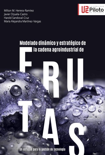 Modelado dinámico y estratégico de la cadena Agroindustrial de frutas : un enfoque para la gestión De tecnología.