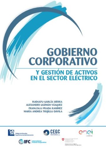 Gobierno corporativo y gestión de activos en el sector eléctrico