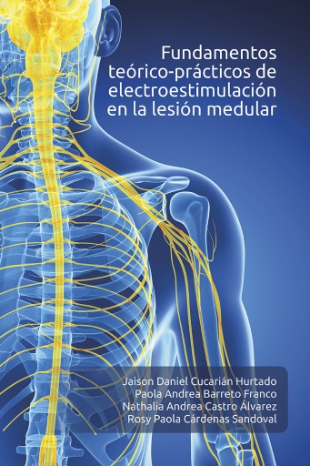 Fundamentos teórico-prácticos de electroestimulación en la lesión medular.