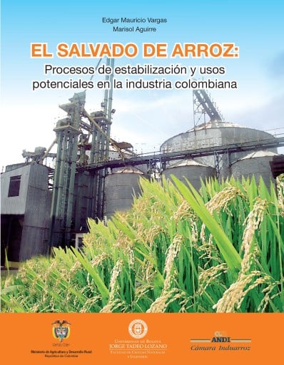El salvado de arroz: procesos de estabilización y usos potenciales en la industria colombiana.