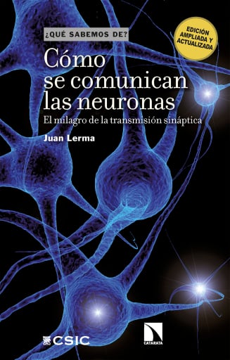 Cómo se comunican las neuronas. El milagro de la transmisión sináptica